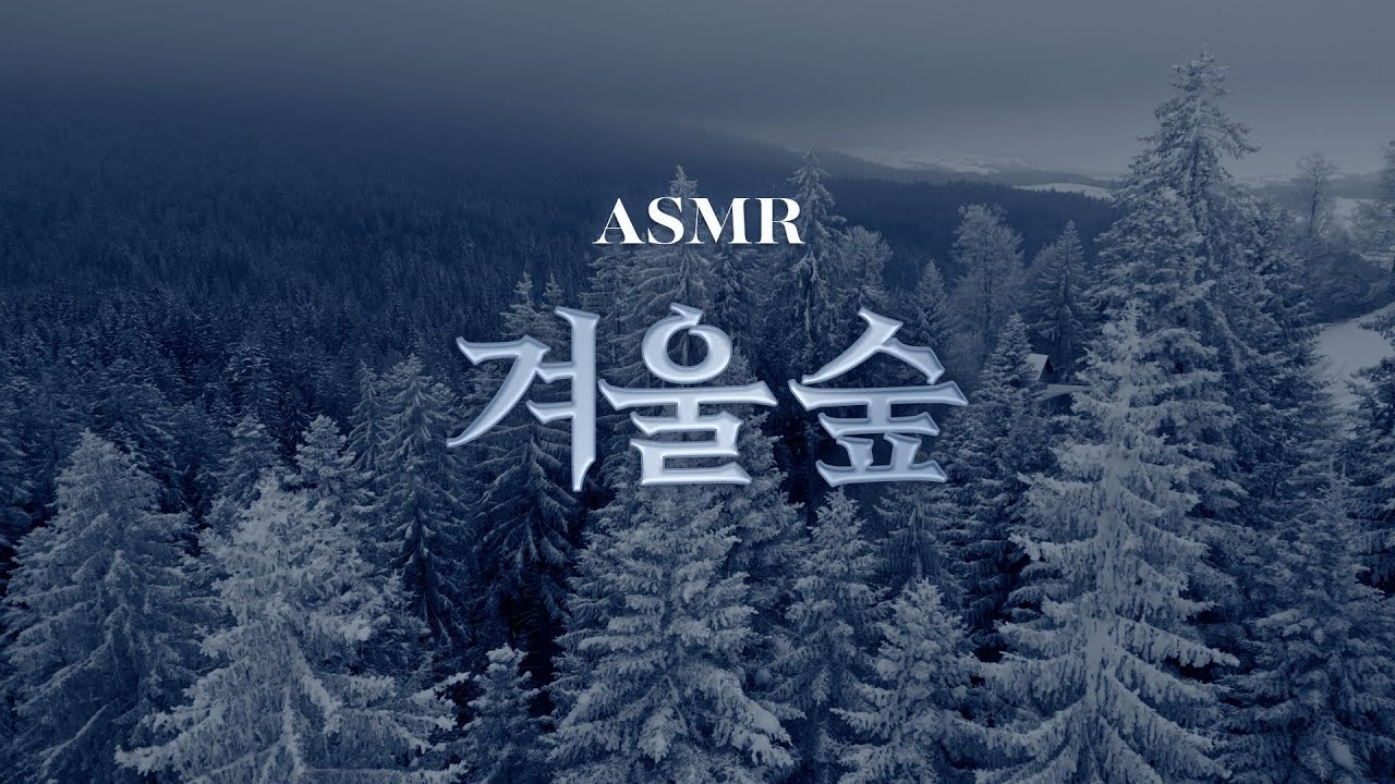 나는 이 숲에 갇혀 죽고야 말겠구나🌙 중세 판타지 ASMR