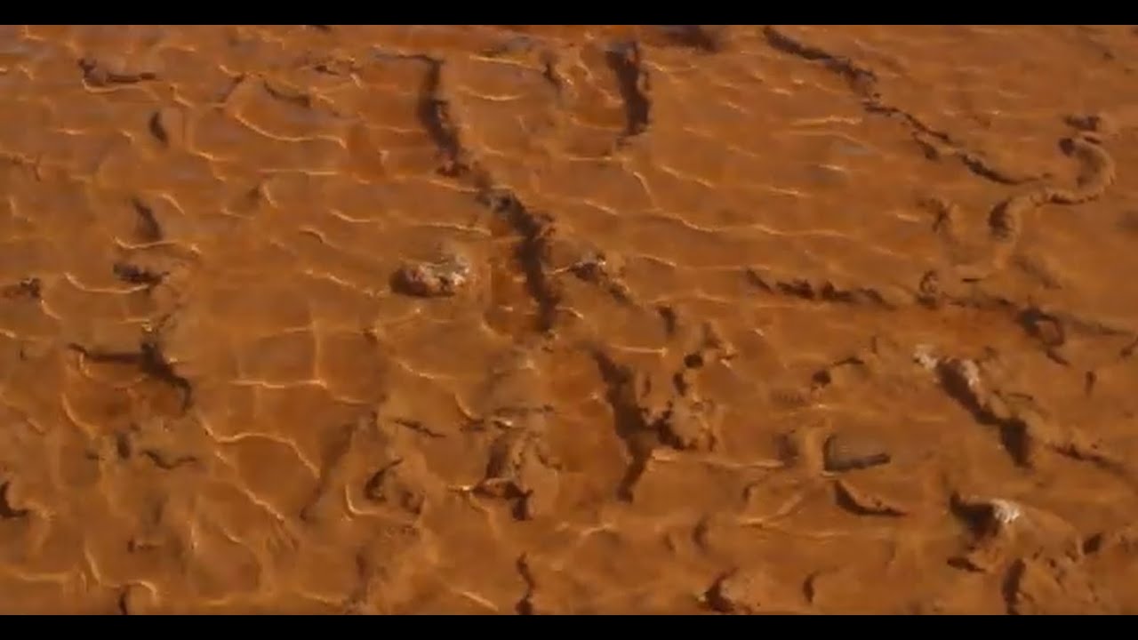 Pyrame - So Sprach Psychedelia (Rambal Cochet´s Trance Mix) (Official Music Video)