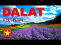 DALAT Vietnam | The MOST ROMANTIC City in Vietnam 🇻🇳