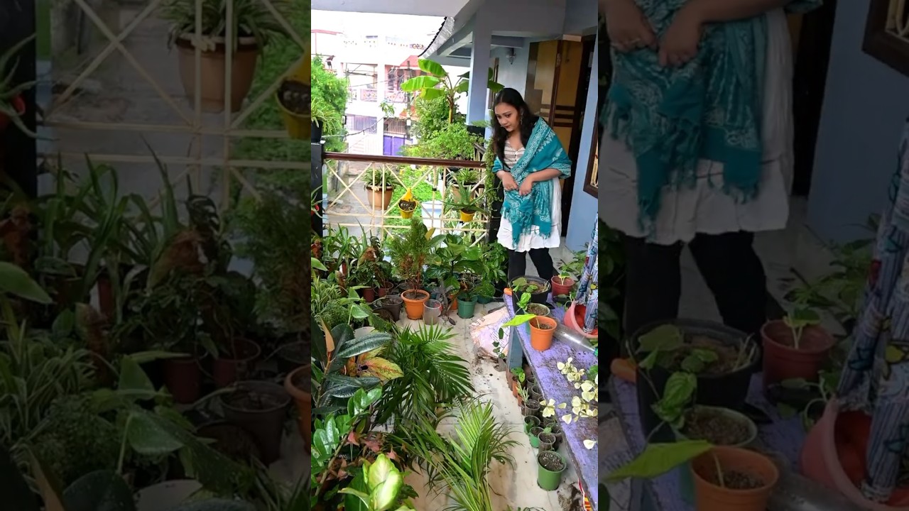 Ye garden nhi hai, disaster site hai❌🌿Balcony cleanup: Episode 101 in 2 days🧹✨#plants #gardening