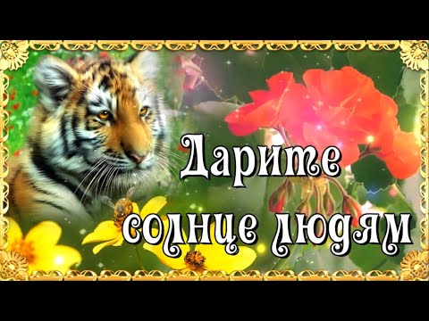 Несу добро в ладошках)) Трогательные стихи о доброте