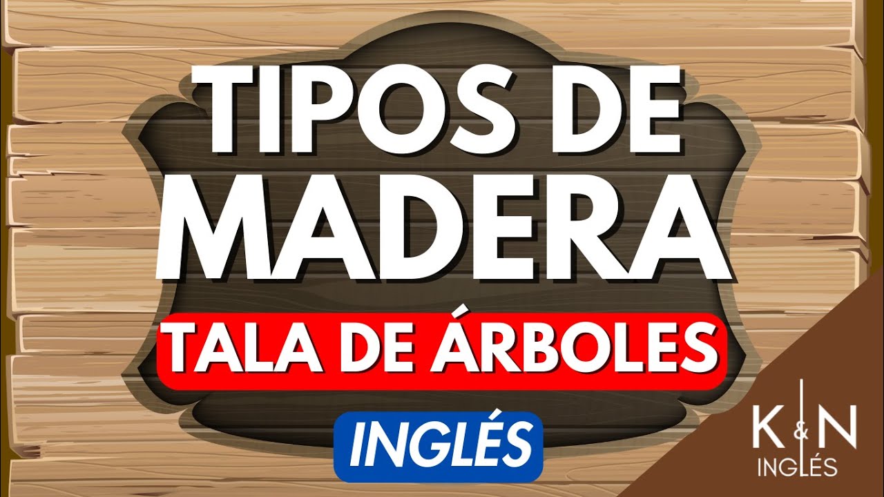 TIPOS DE MADERAS Y SUS USOS - INGLÉS DE TALA DE ÁRBOLES (CON