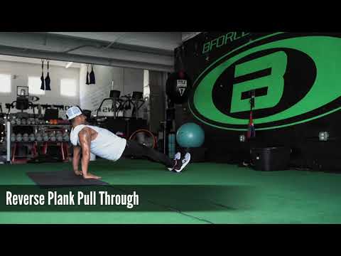 Reverse Plank Pull Thru w/ Sliding Disk (Workout Demonstration Video)