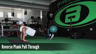 Reverse Plank Pull Thru w/ Sliding Disk (Workout Demonstration Video)