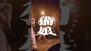 Aircraftnekomusumelive Video