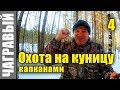 Происшествие на путике | Охота на куницу с капканом 4 _ 2018