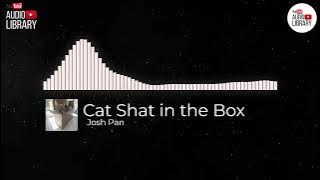 Cat Shat in the Box Josh Pan 🎼 [ YouTube Music ] ✅