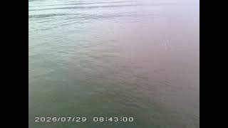DSCF0724 DSCF0724