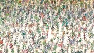 Zadok Ben David Blackfield Tel Aviv Medium Short Quality version2 2010 SV