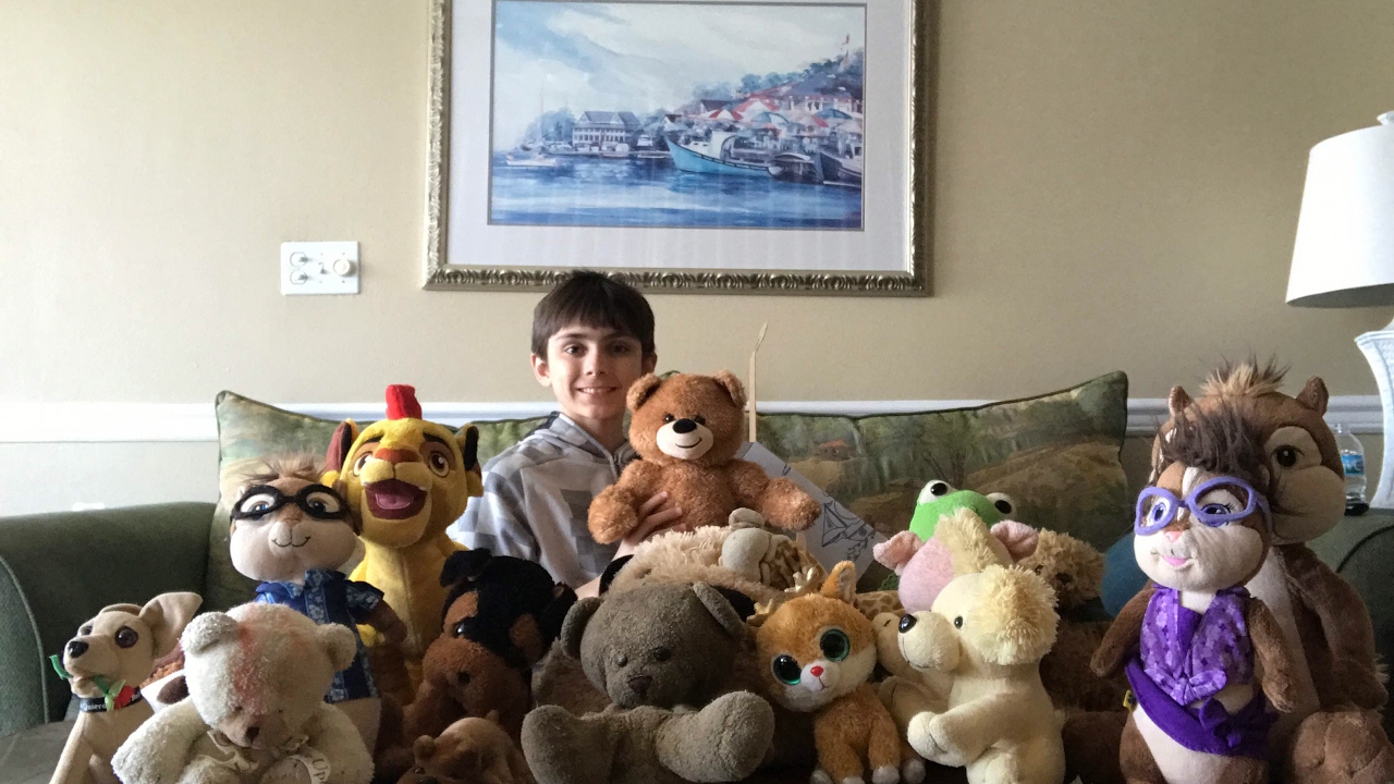 My Stuffed Animal Collection