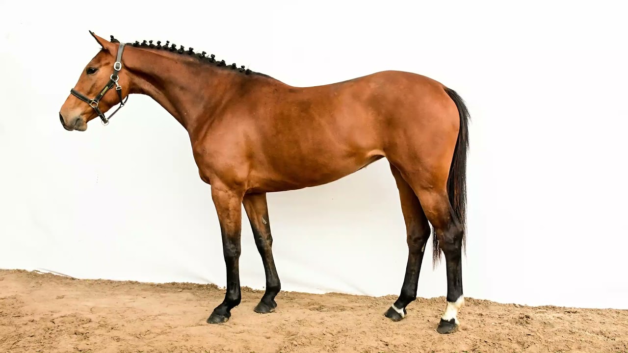 lote 1 : santa fe quality