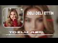 Deli Deli Ettin | Tozlu Remix | Hareketli Basslı Müzik | Remix2026