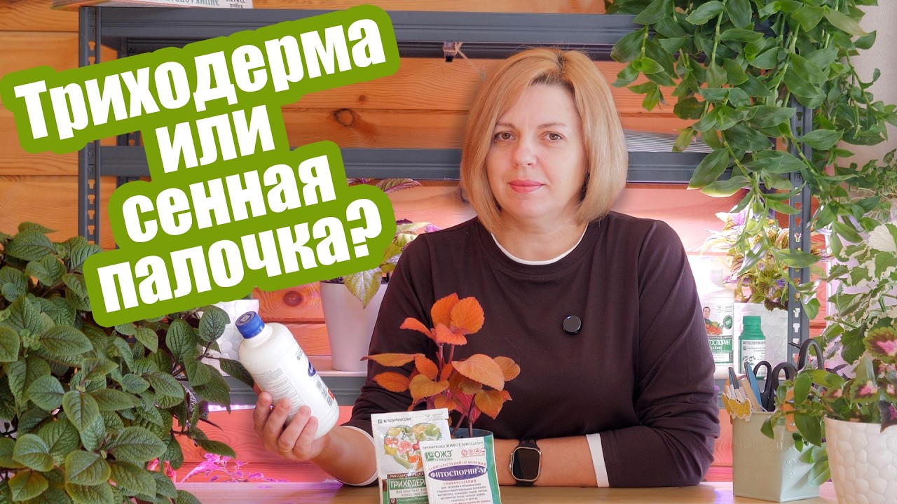 Триходерма и сенная палочка: как они работают и можно ли их смешивать