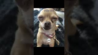 Squint your eyes 😭 #lol #fyp #comment #funny #viral #subscribe #like #share