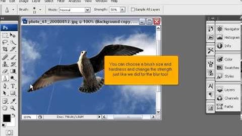 How to use the Blur, Sharpen and Smudge tools in PhotoShop