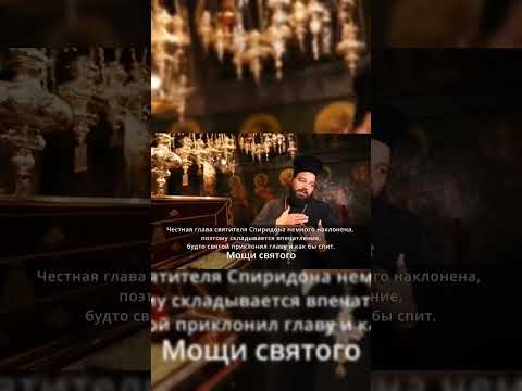 Нетленные мощи Спиридона Тримифунтского #shorts