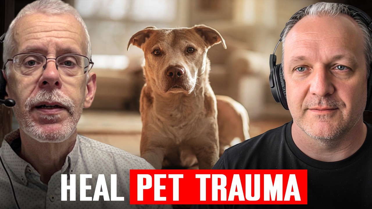 Your Dog Can’t Go to Therapy? Do This Instead | Pet Trauma | Dog Care Your Dog Can’t Go to Therapy? Do This Instead | Pet Trauma | Dog Care