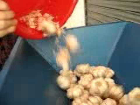 garlic separator, garlic separating machine, how to separate garlic ...
