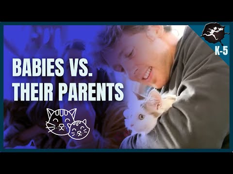 Do Babies Look Like Their Parents? Hereditary traits K-2. K-5 Science Music Video by Untamed Science