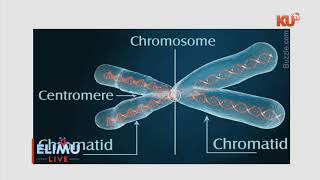 BIOLOGY, FORM 4 . TOPIC : GENETICS . TR.  MARGRET GITAU.