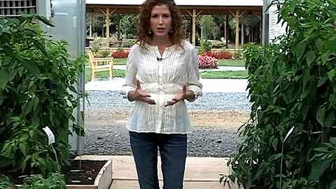 Susan Greeley at The Farm at Broad Run Virginia