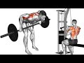Upper Back Workout for Massive Thickness | 6 Best Back &amp; Trap Exercises
