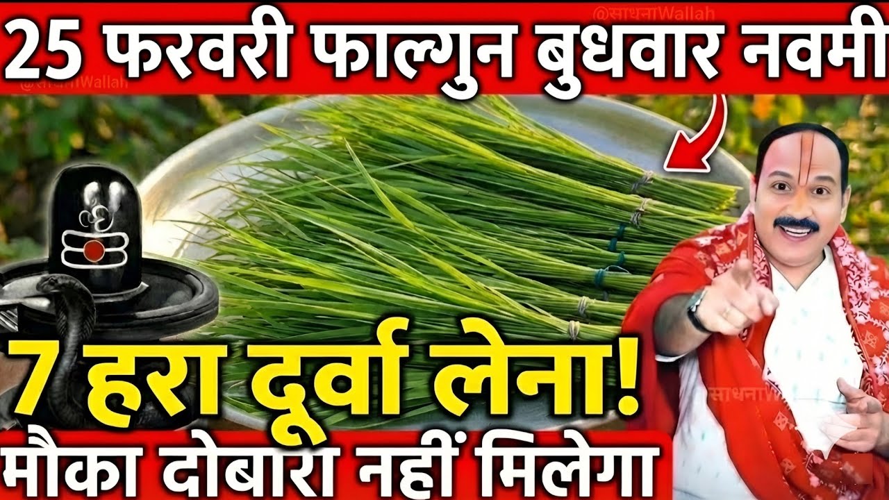 25 फरवरी फाल्गुन बुधवार नवमी तिथि के दिन 7 हरा दूर्वा वाला उपाय जरुर करे || Pradeep Ji Mishra