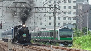 2019年8月18日　埼京線用E233系7000番台 ハエ135編成と蒸気機関車C61 20｢SL ぐんま みなかみ｣　上越線 高崎～高崎問屋町 間