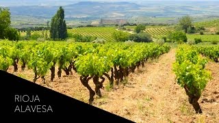 Where Tempranillo U0026 Tradition Meet A Wine Tour Of Rioja Alavesa Spain