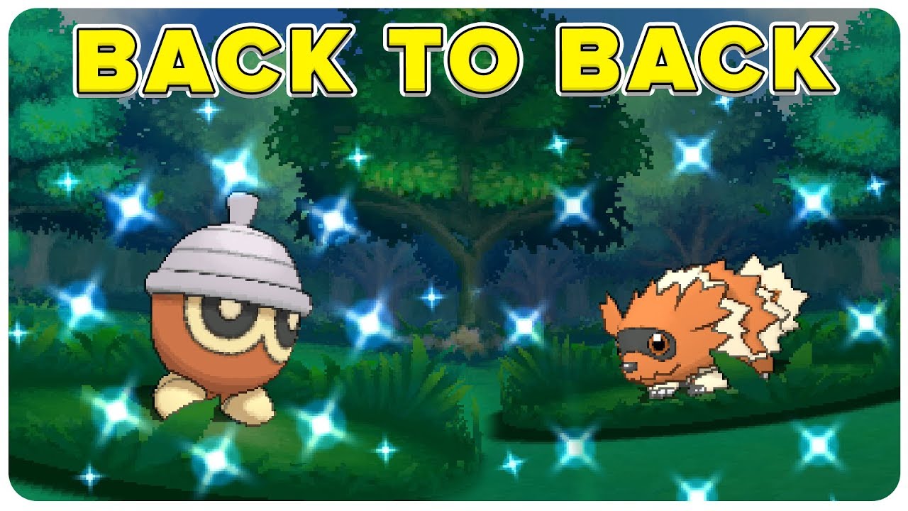 Back to Back Shinys! Shiny Seedot and Shiny Zigzagoon in hordes!