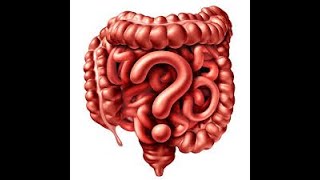 LA DIGESTION DANS L'INTESTIN GRELE  3 AC الهضم  - الهضم على مستوى المعي الدقيق - تتمة الجزء 1