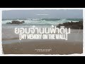 ยอมจำนนฟ้าดิน - โบวี่ และ การเดินทาง - ชาติ สุชาติ | MM Music