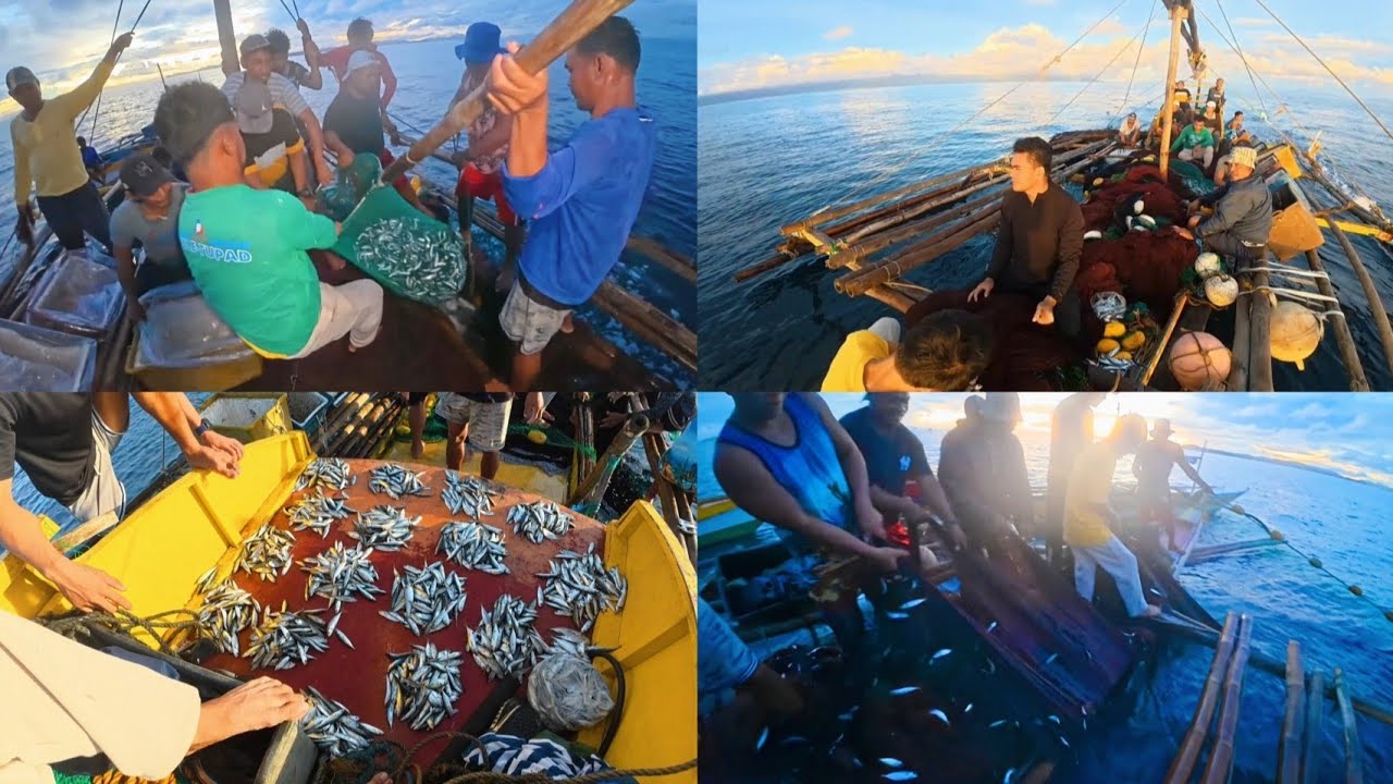 Jackpot Sa Galunggong | Traditional Lambat Fishing | Daram Samar | Uncle Jem TV