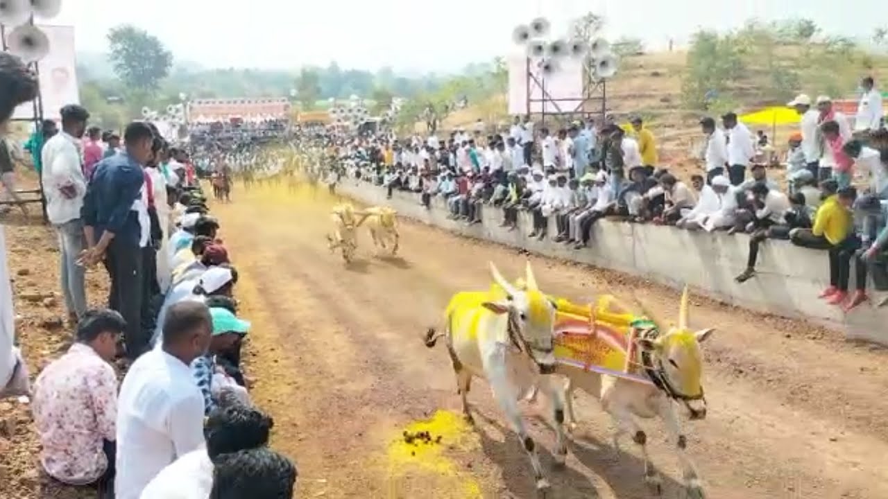 Bailgada Sharyat Live In Pune YouTube