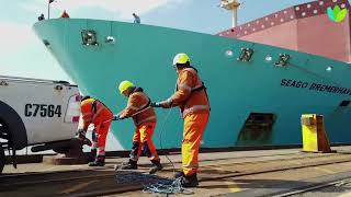 Multimodal Transport Solutions Integrating Rail, Air Cargo, Maritime, and Trucking