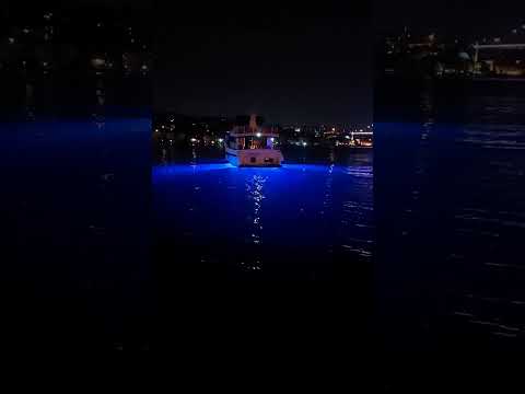 مصطفى كامل أتكلمي