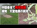 中国各地で、異常現象が頻発、天変地異の前兆でしょうか