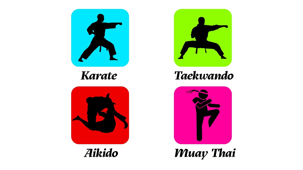 TOP 4 Martial Arts Styles EXPLAINED | Karate, Taekwondo, Aikido, Muay Thai