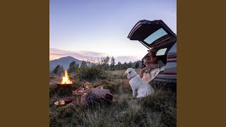 Firelight Dances on Sleeping Whiskers