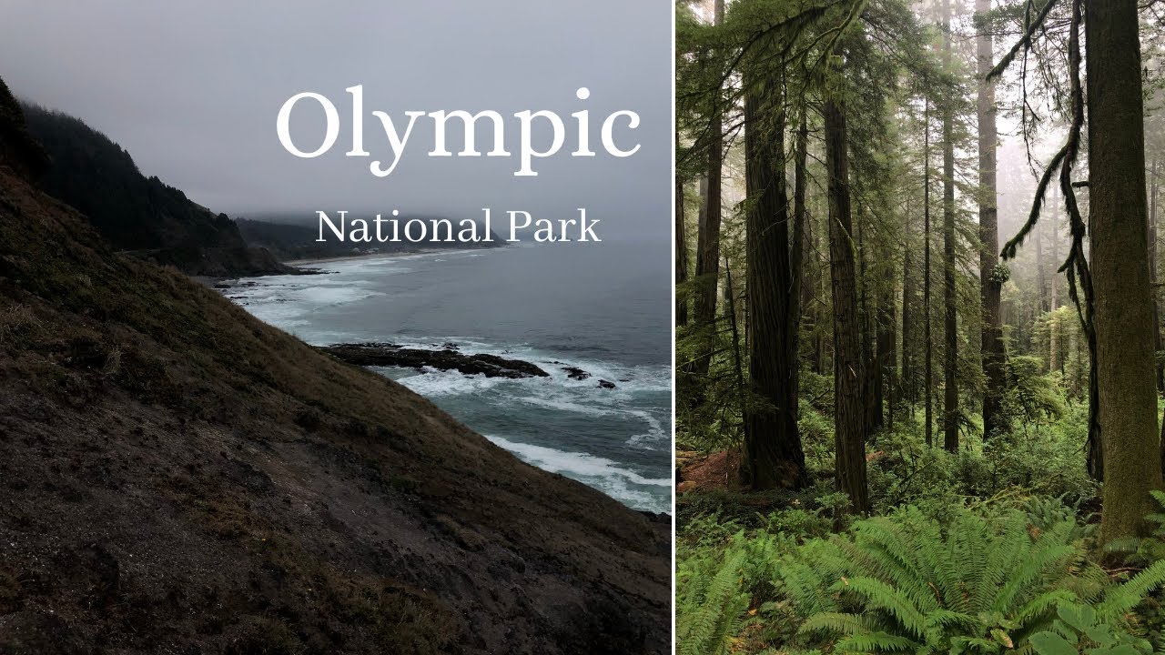 Olympic National Park- October 4th-6th, 2022 - YouTube