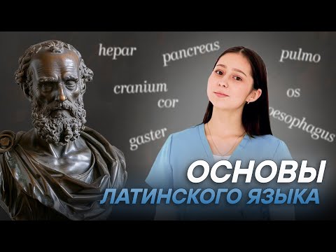 Основы латинского языка