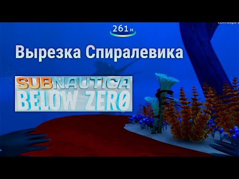 Вырезка спиралевика Subnautica Below Zero