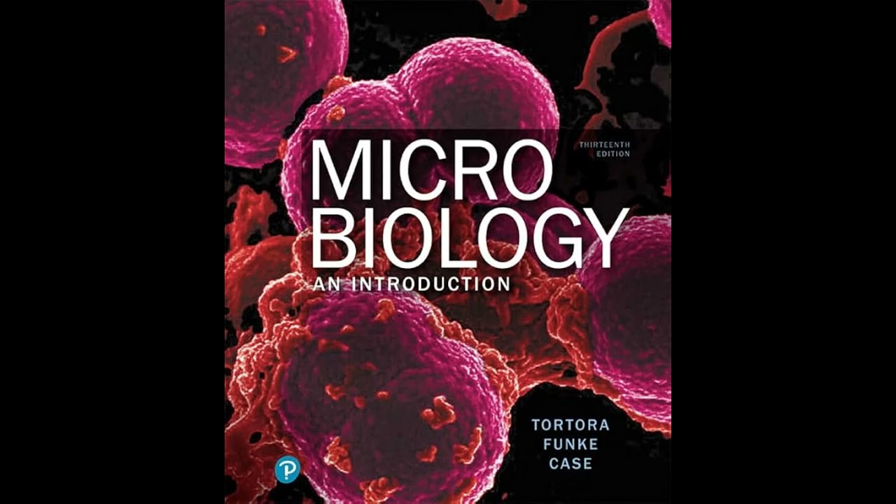 Microbial Genetics | Chapter 8 - Microbiology: An Introduction