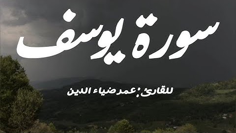 سورة يوسف بتلاوة  عمر ضياء الدين| بدون مؤثرات