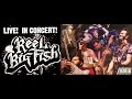 Reel big fish  live in concert 2009 full concert film