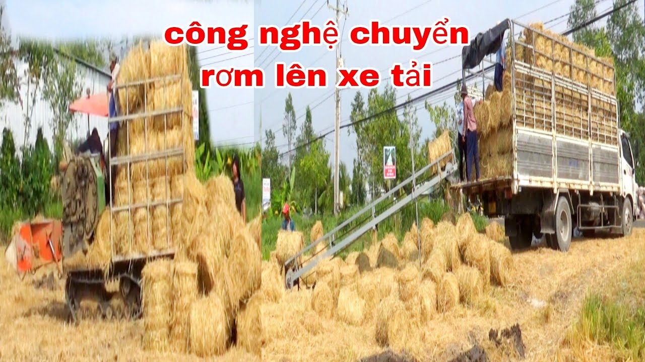 QUAY CẢNH MÁY CUỐN RƠM CÙNG TỰ CHẾ CHUYỂN RƠM LÊN XE TẢI combine claas tractor truck pulling