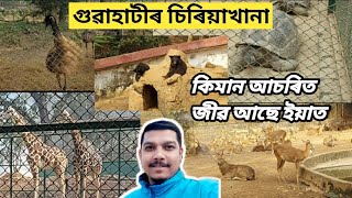 Guwahati Zoo | গুৱাহাটীৰ চিৰিয়াখানা |Guwahati Siriya Khana | Palash Borah