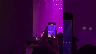 Music for a Sushi Restaurant- Harry Styles Live in Seoul Korea 2023