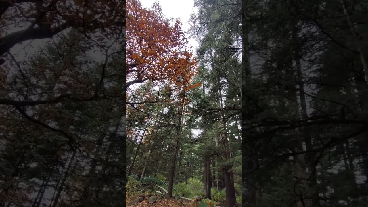 Best Season to visit Manali, Himachal Pradesh || October 2022 