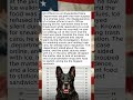 Police Dog Becomes Prime Suspect in Lunch Theft Case... #PoliceDog #K9 #Shorts